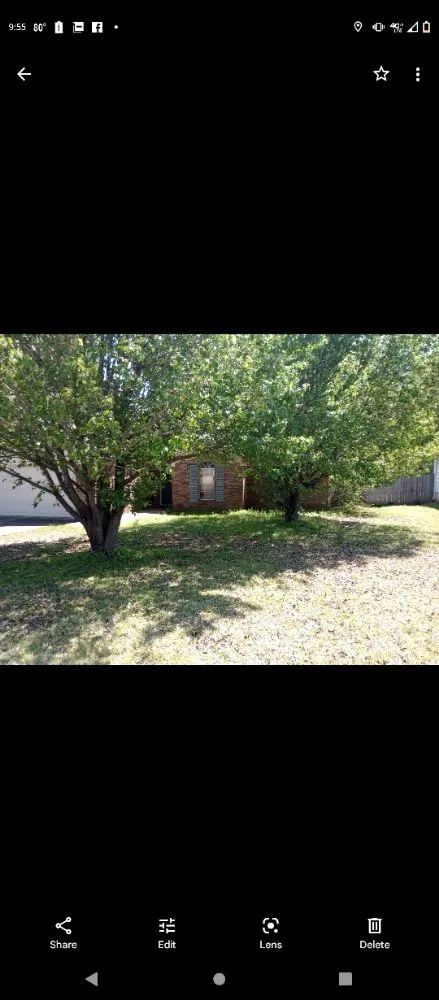 Local yard cleanup service with custom design across Bauxite, AR - CJS LAWN SERVICES