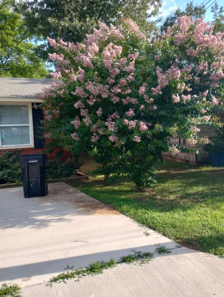 Local residential landscaping for residential properties across Bauxite, AR - CJS LAWN SERVICES