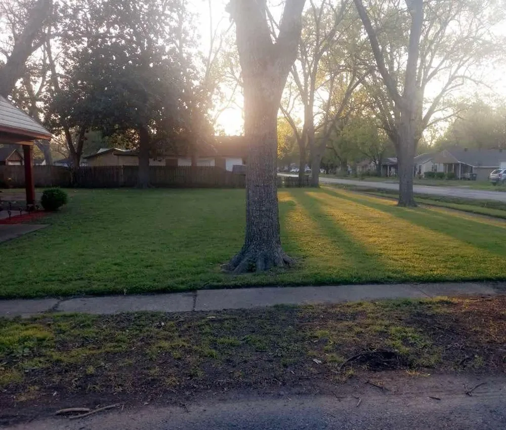 Trusted yard maintenance in Blytheville, AR by Cjs Lawn Services
