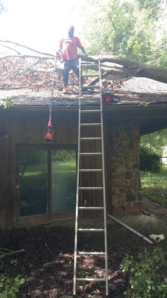 Reliable lawn care service for beautiful yards across Blytheville, AR - Cjs Lawn Services