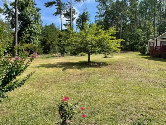 CJs Lawncare and Landscape