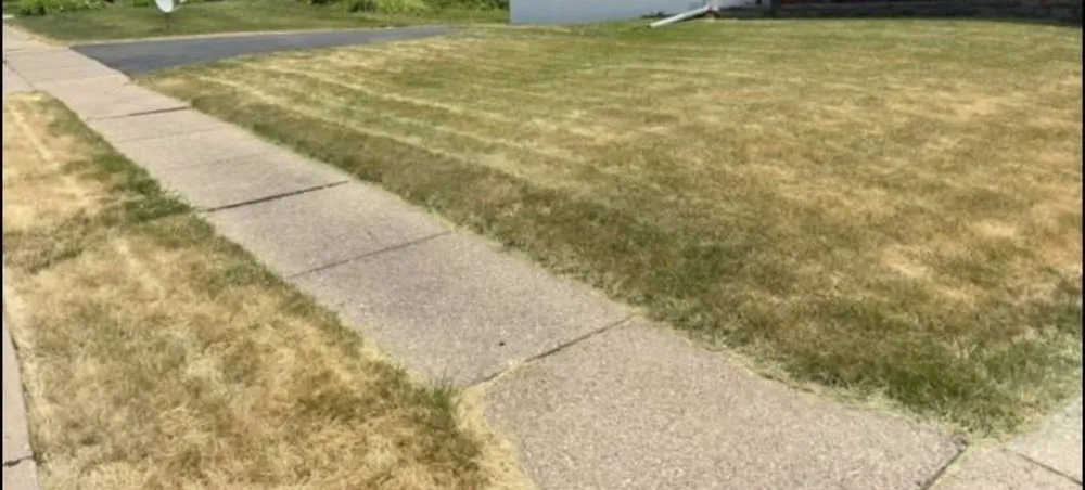 Professional landscape installation for homes across Davenport, IA - Cj’s Lawncare Services