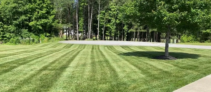 Trusted yard cleanup service in South Hill, VA - CJ's Lawncare Services