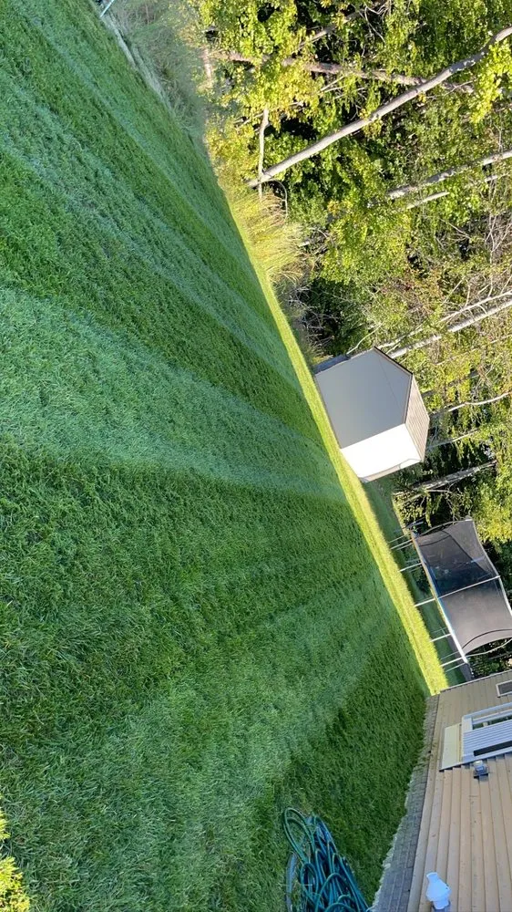 Custom yard cleanup service experts serving Waldorf, MD - Cj’s Lawncare