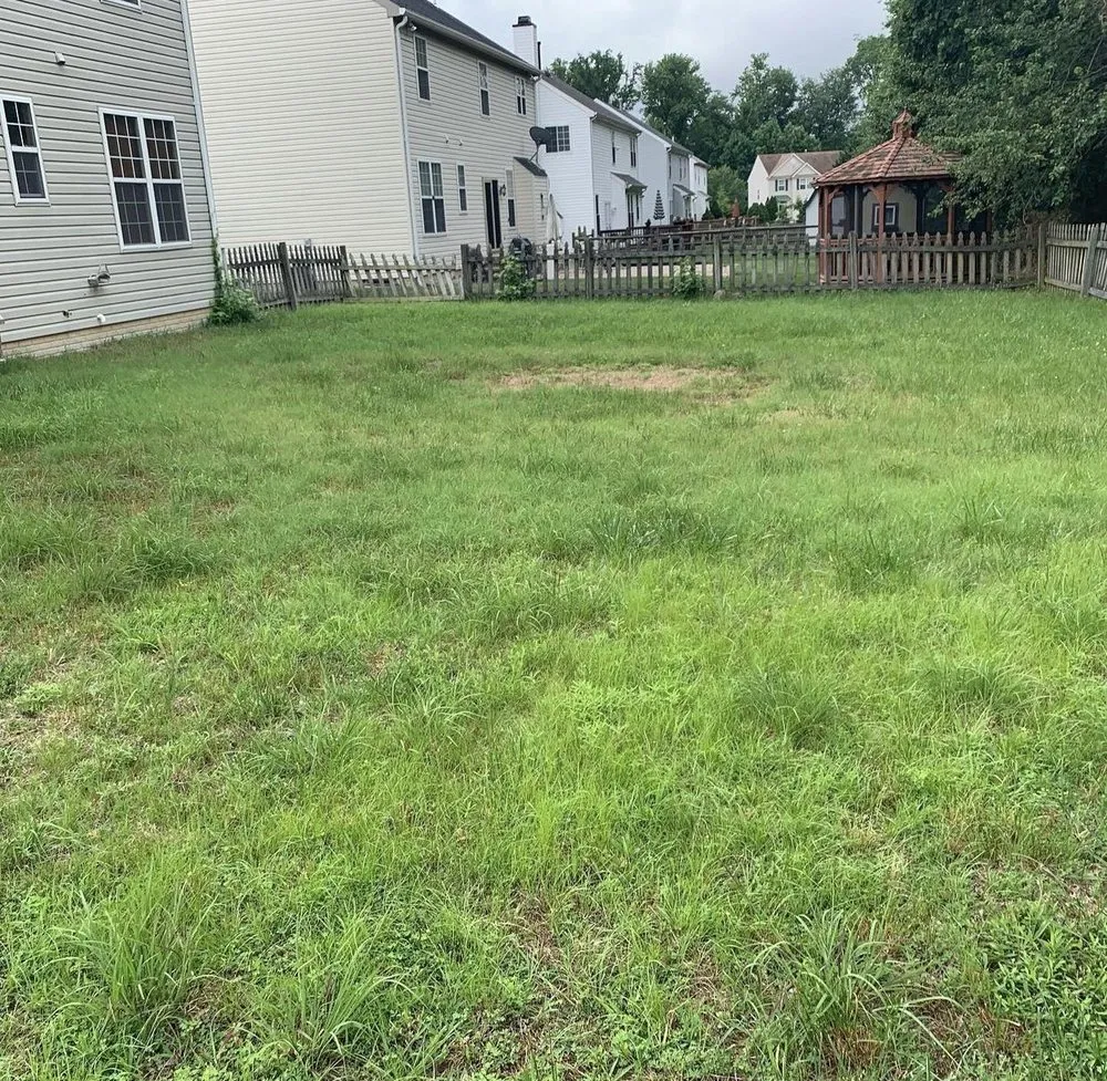 Trusted lawn care service in Waldorf, MD - Cj’s Lawncare