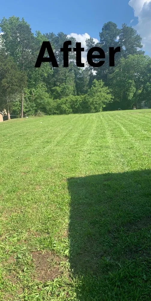 Reliable lawn mowing service for year-round maintenance in Henderson, NC by Cj’s Lawns And Landscaping