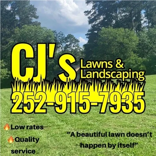 Custom yard cleanup service in Henderson, NC by Cj’s Lawns And Landscaping