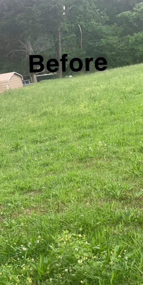 Affordable garden landscaping for homes in Henderson, NC by Cj’s Lawns And Landscaping