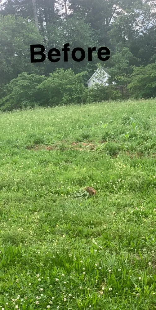 Trusted landscape design in Henderson, NC by Cj’s Lawns And Landscaping