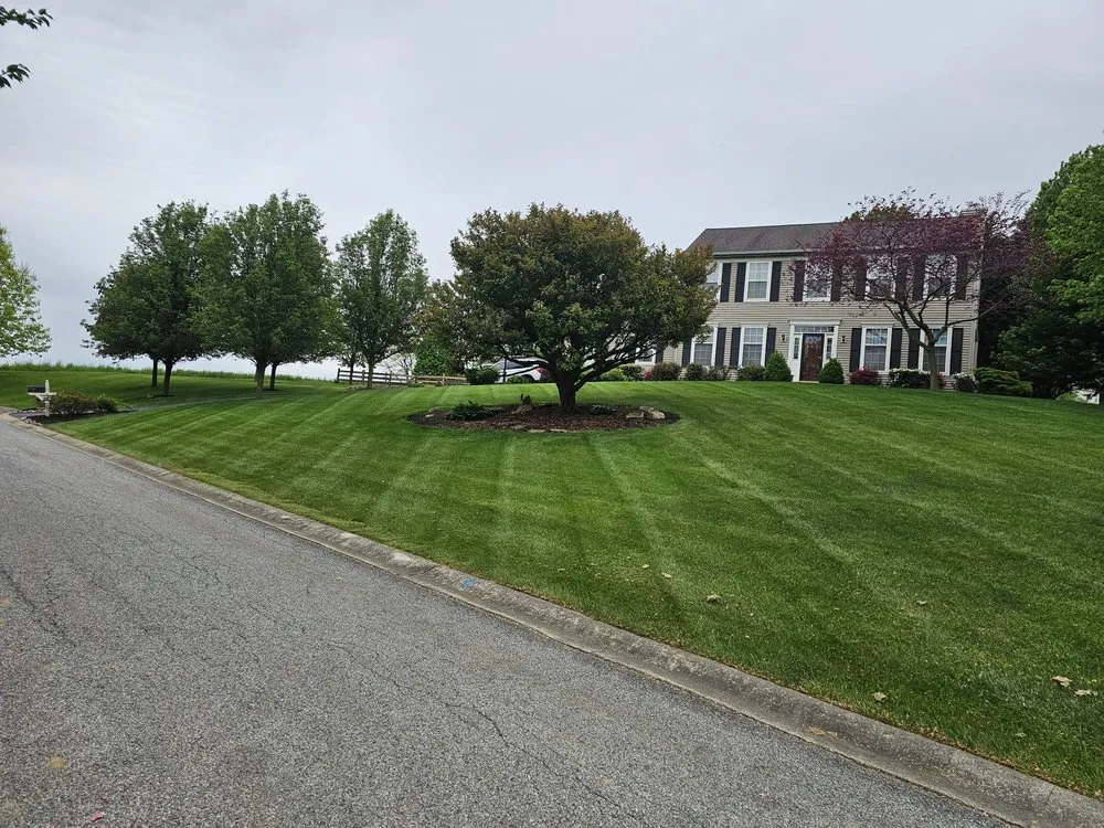 Local yard cleanup service for year-round maintenance across Denver, PA - Cjs Mowing And Landscaping