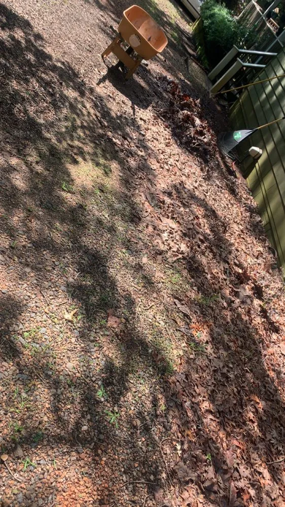 Professional yard maintenance for outdoor upgrades in Clarkesville, GA by Cjs Mowing