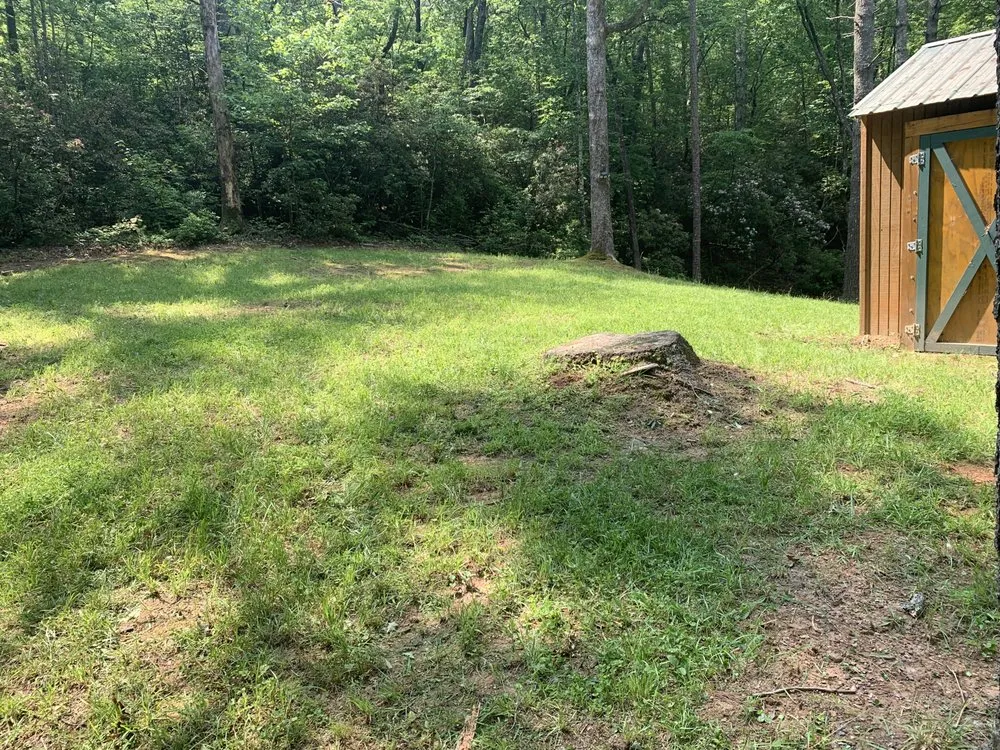 Local landscape design in Clarkesville, GA - Cjs Mowing