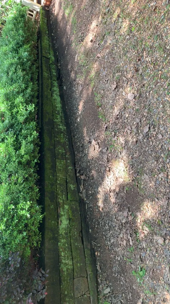 Local outdoor landscaping experts serving Clarkesville, GA - Cjs Mowing