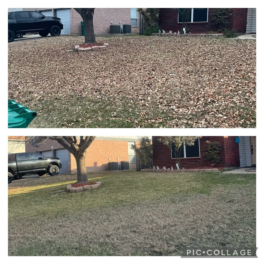 Trusted lawn mowing service in Harker Heights, TX - CJ's Mowing Service