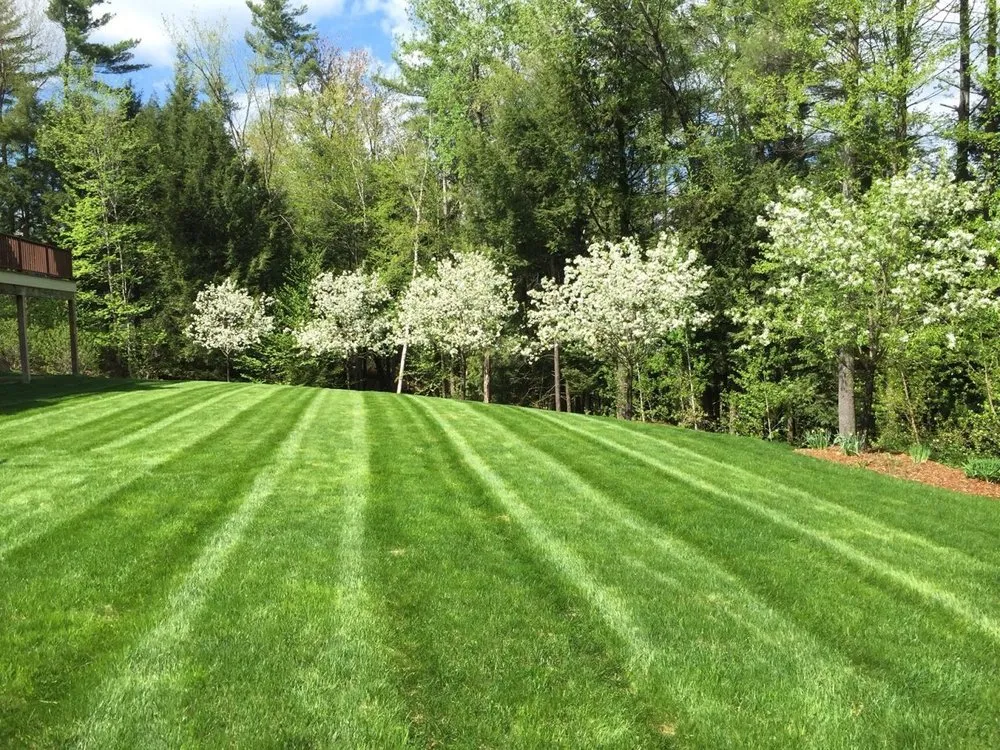 Custom residential landscaping in Minneapolis, MN by CJ’s Outdoor Lawn Service
