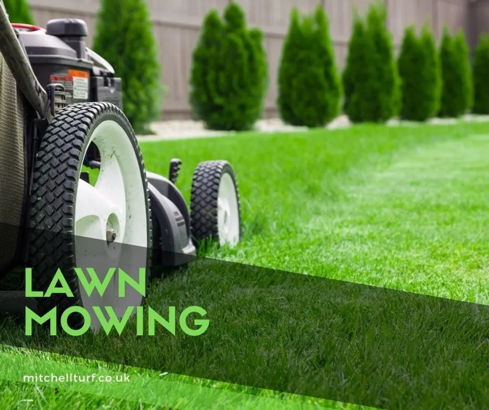 Top-rated landscape installation experts serving Minneapolis, MN - CJ’s Outdoor Lawn Service