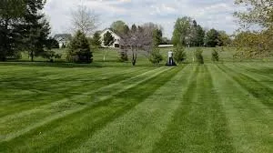 Top-rated yard maintenance for year-round maintenance in Minneapolis, MN by CJ’s Outdoor Lawn Service
