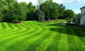 Local yard maintenance experts serving Minneapolis, MN - CJ’s Outdoor Lawn Service
