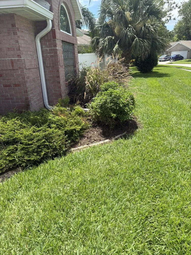 Expert residential landscaping experts serving Port Orange, FL - Cj’s Power Washing & More