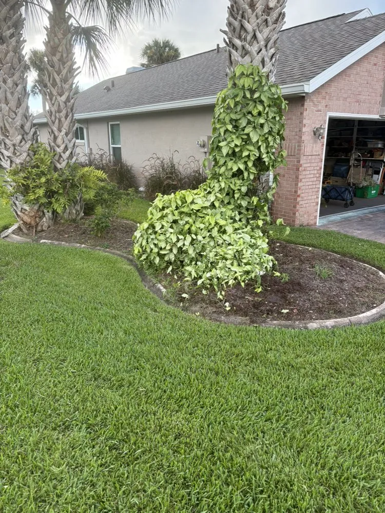 Local lawn mowing service for outdoor upgrades across Port Orange, FL - Cj’s Power Washing & More