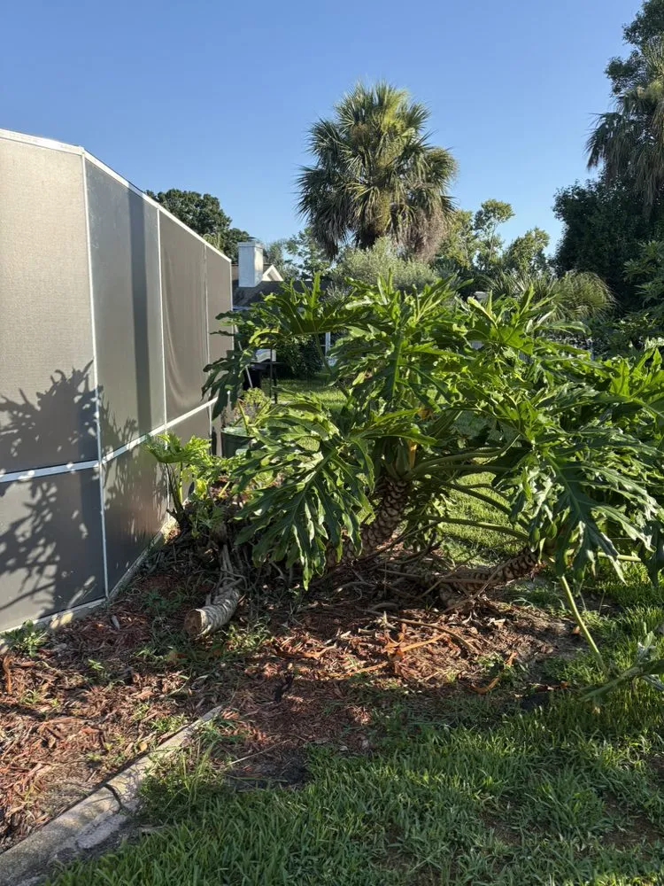 Trusted garden landscaping in Port Orange, FL by Cj’s Power Washing & More
