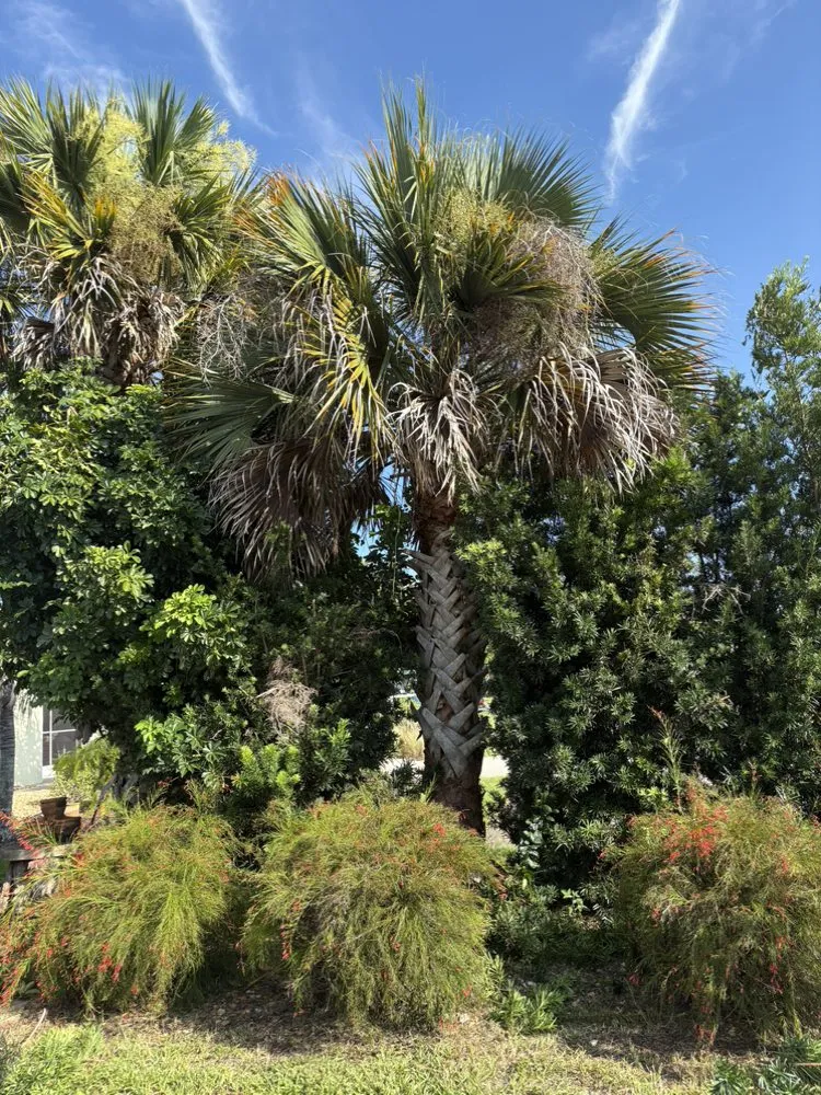 Trusted residential landscaping for homes in Port Orange, FL by Cj’s Power Washing & More