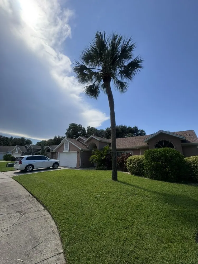 Reliable garden landscaping in Port Orange, FL by Cj’s Power Washing & More