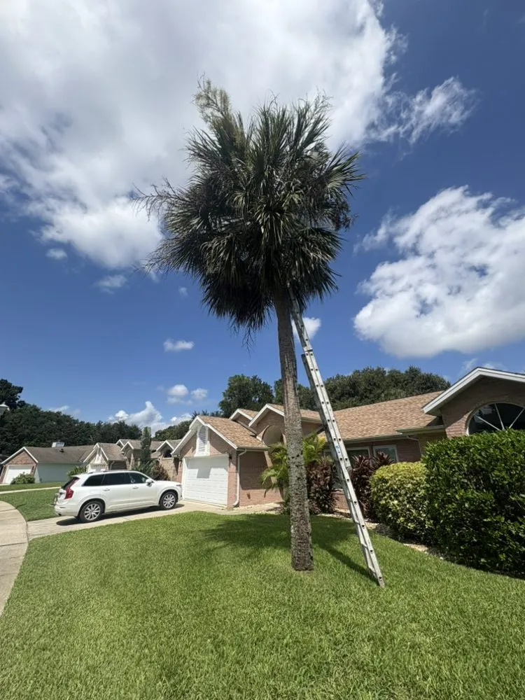 Local lawn care service with custom design in Port Orange, FL by Cj’s Power Washing & More