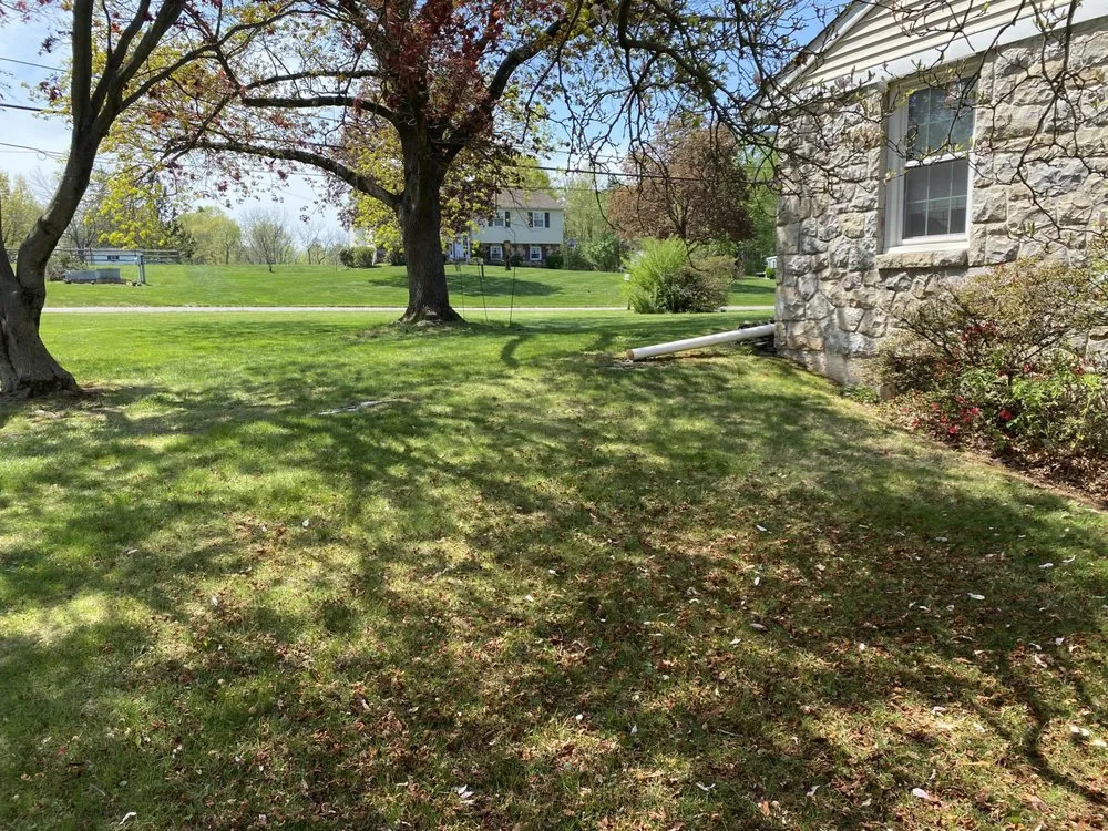 Custom yard maintenance for homes across Reading, PA - CJ's Side Jobs