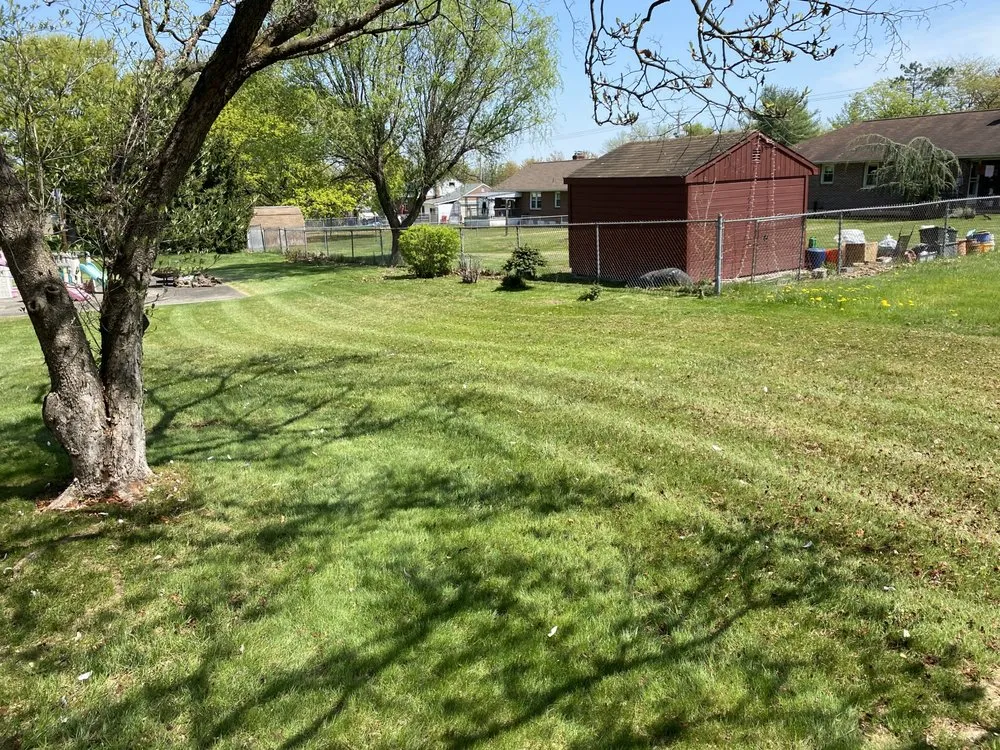 Professional yard maintenance in Reading, PA by CJ's Side Jobs