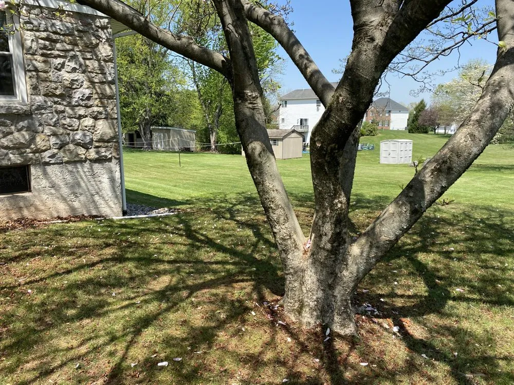 Professional residential landscaping in Reading, PA by CJ's Side Jobs