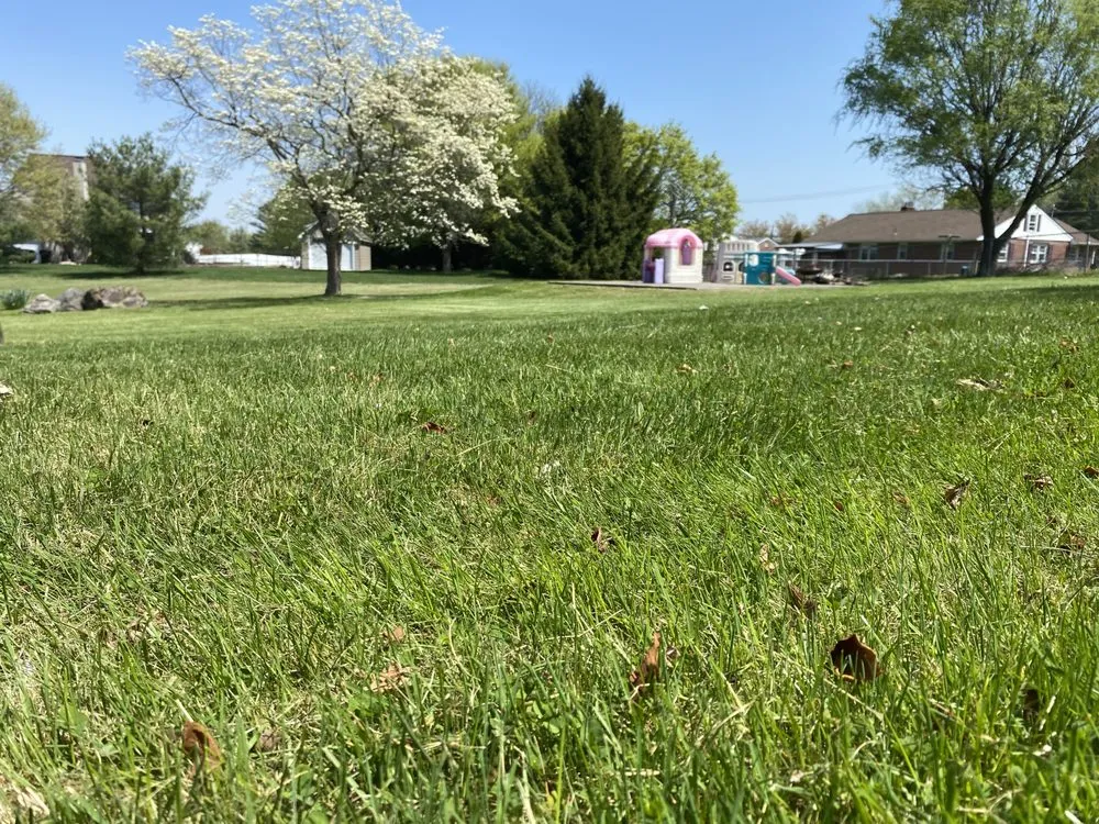 Expert yard maintenance in Reading, PA by CJ's Side Jobs