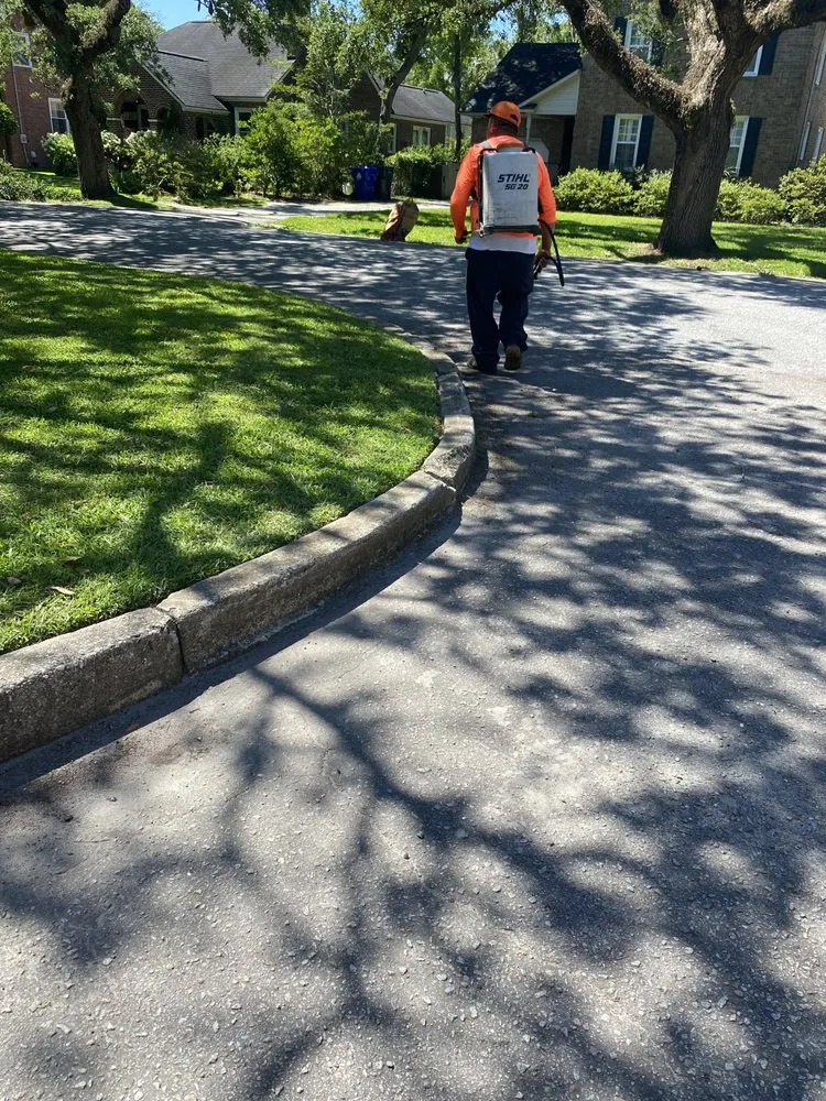 Affordable lawn mowing service near you in Summerville, SC by Cj's Terrarum Landscape