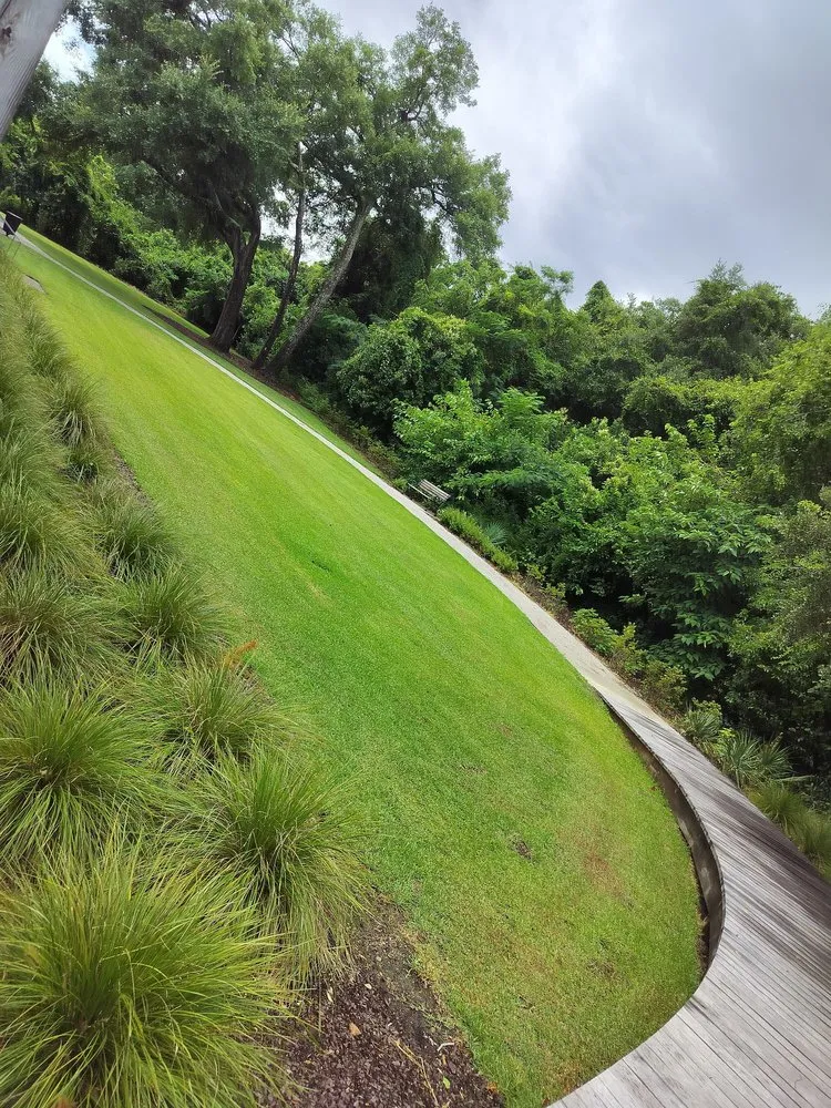 Professional landscaping services for outdoor upgrades across Summerville, SC - Cj's Terrarum Landscape