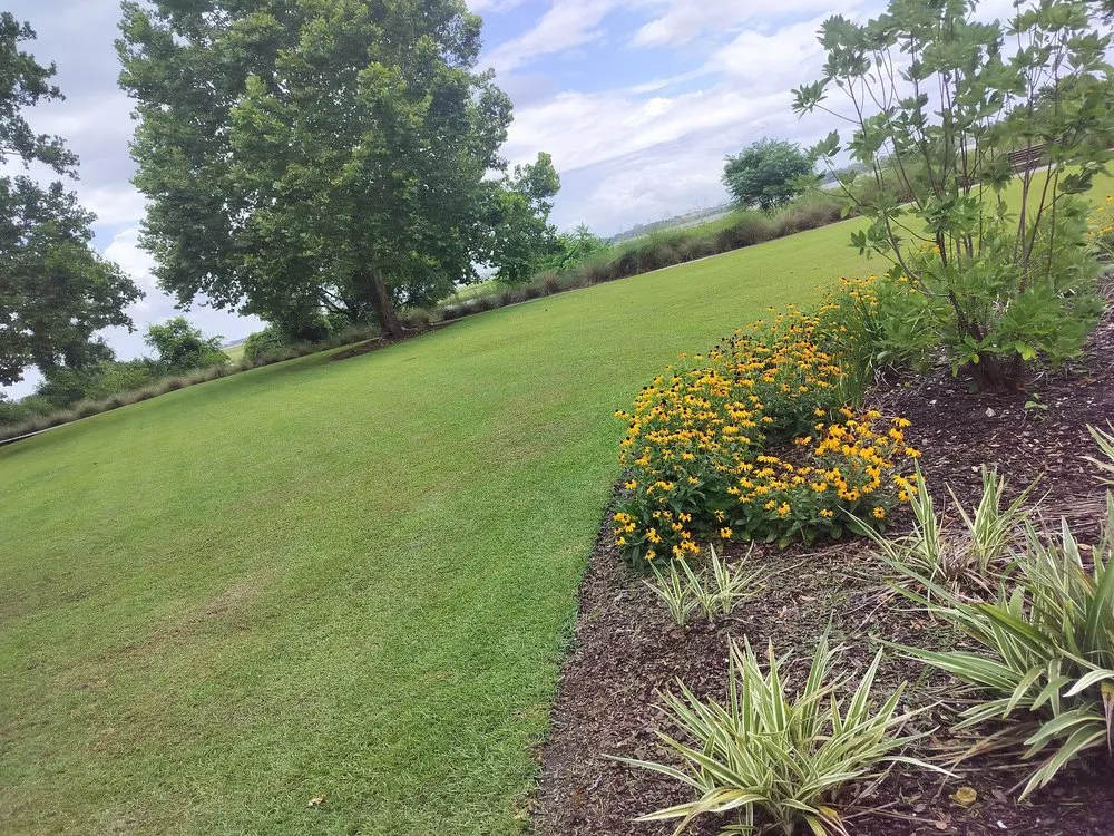 Reliable yard cleanup service for residential properties in Summerville, SC by Cj's Terrarum Landscape