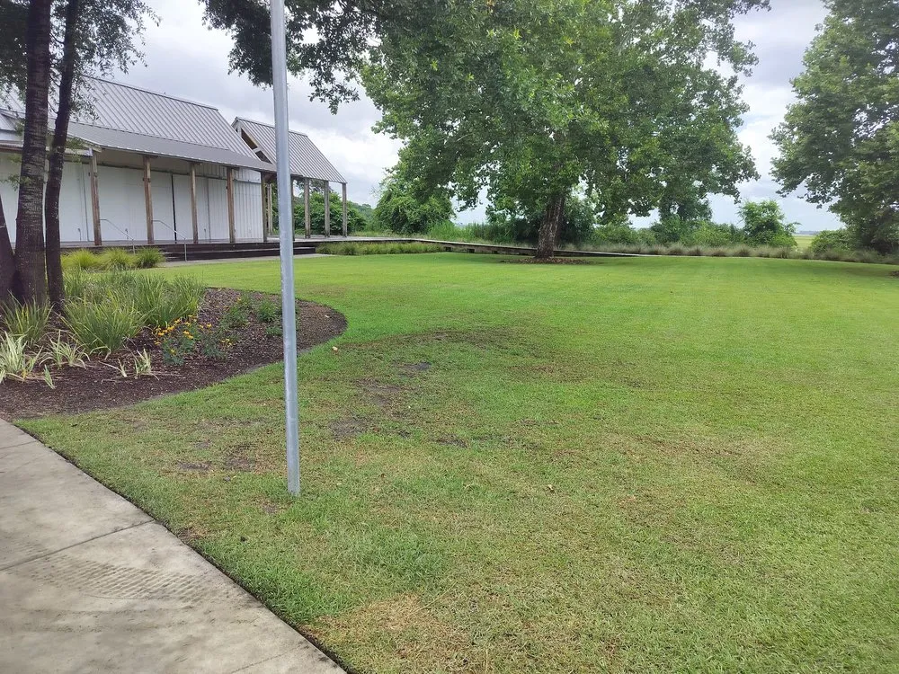 Trusted yard maintenance experts serving Summerville, SC - Cj's Terrarum Landscape