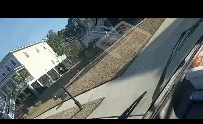 Local yard maintenance experts serving Summerville, SC - Cj's Terrarum Landscape