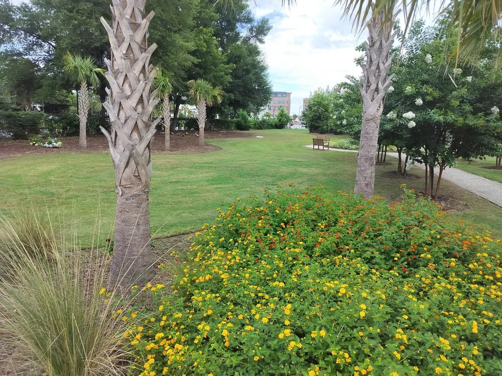 Reliable yard maintenance for beautiful yards across Summerville, SC - Cj's Terrarum Landscape