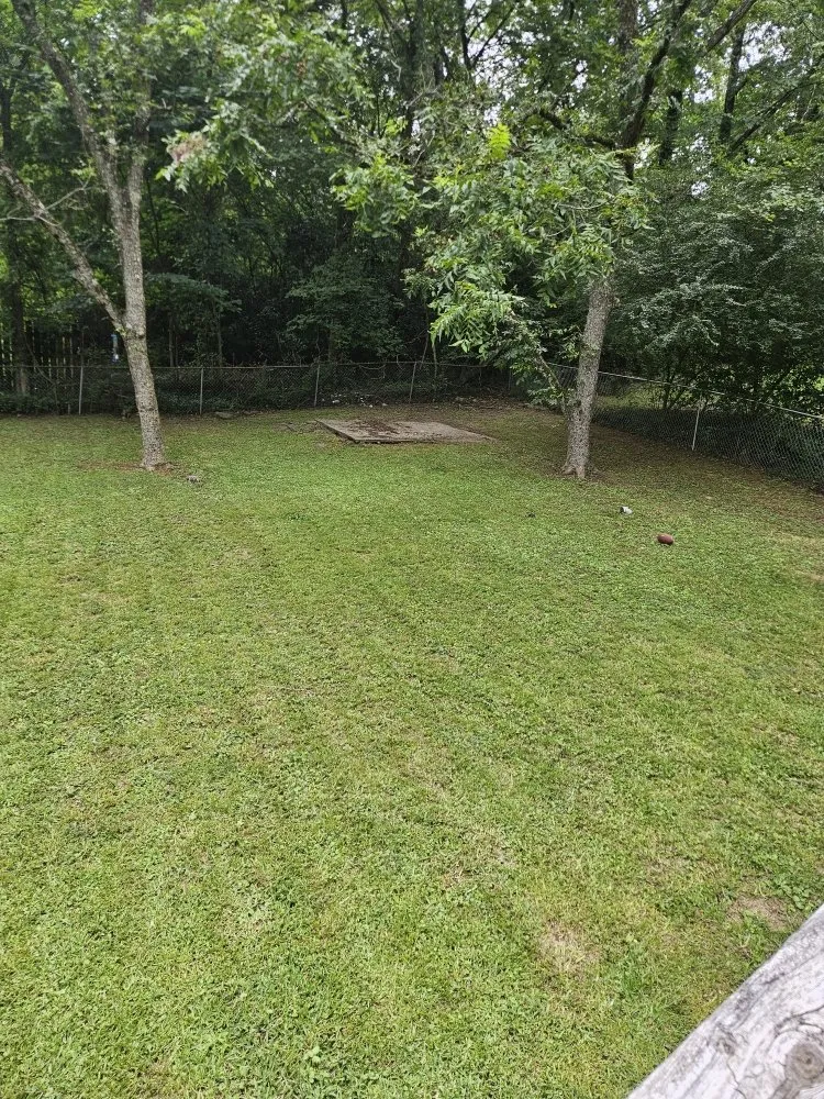 Expert residential landscaping with custom design in Center Point, AL by CJs Touch Landscaping