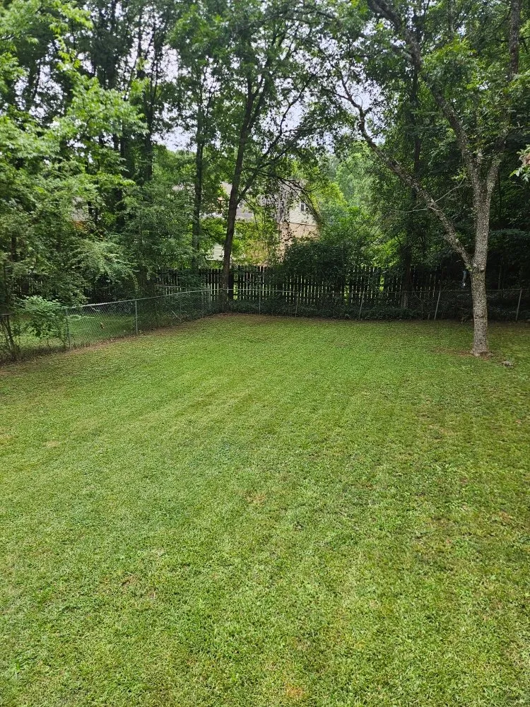 Reliable landscaping services for year-round maintenance across Center Point, AL - CJs Touch Landscaping