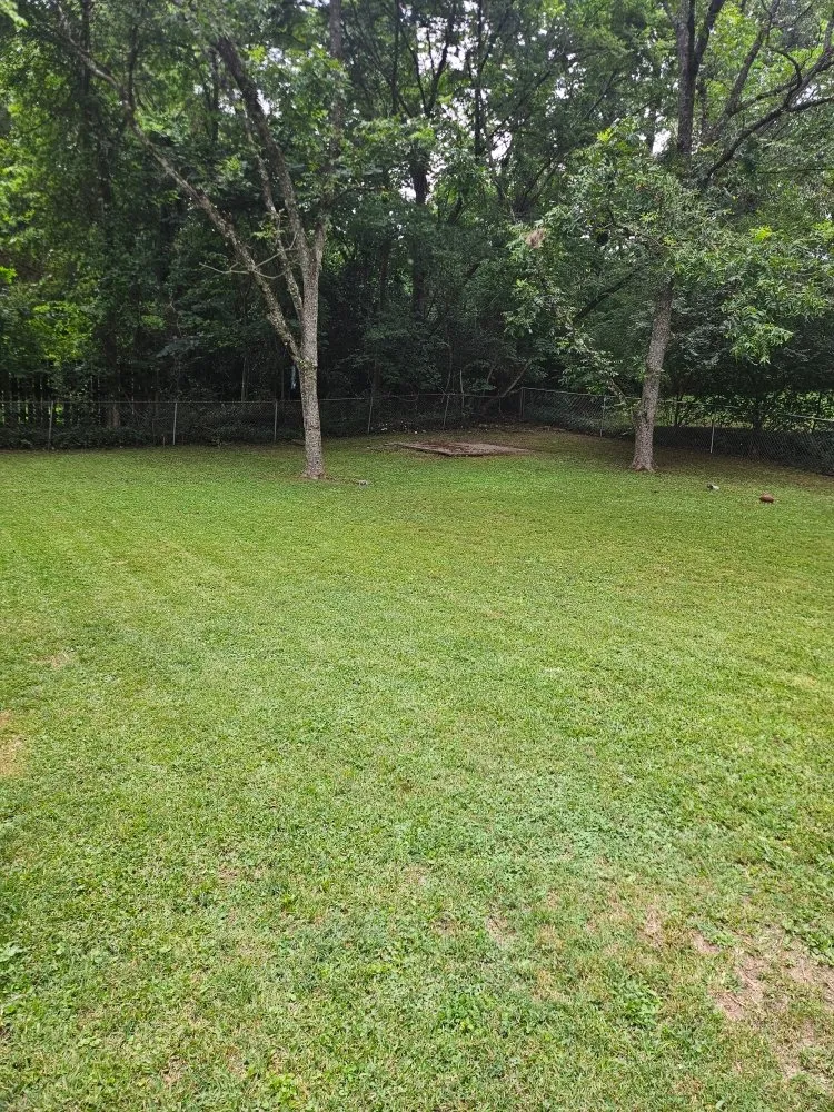 Expert outdoor landscaping experts serving Center Point, AL - CJs Touch Landscaping