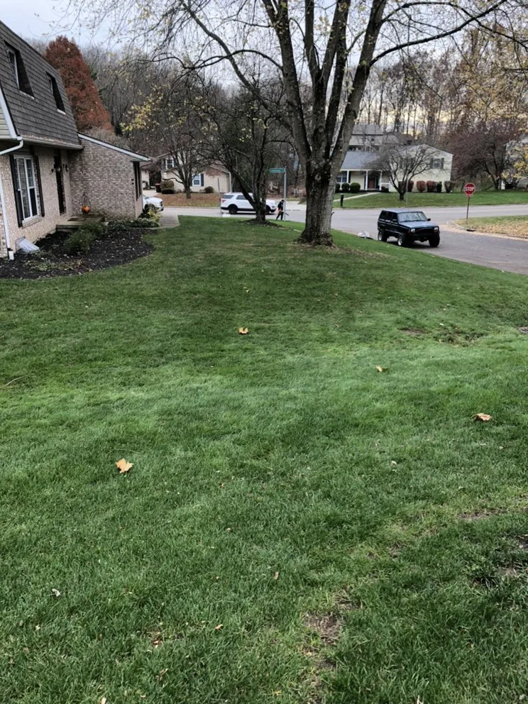 Trusted landscape installation in Newark, OH by Cj’s Upkeep
