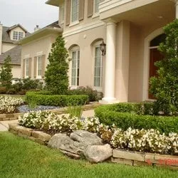 Trusted yard cleanup service in Katy, TX - CJ's Yardworks