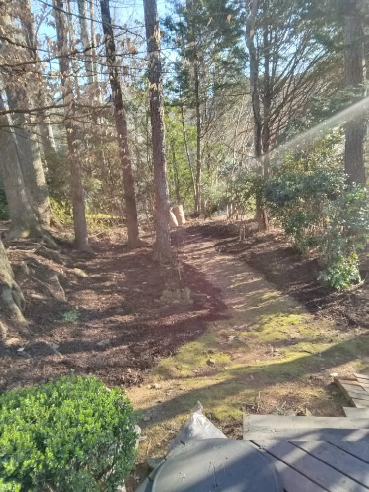 Affordable lawn care service experts serving Stonecrest, GA - CJT Service