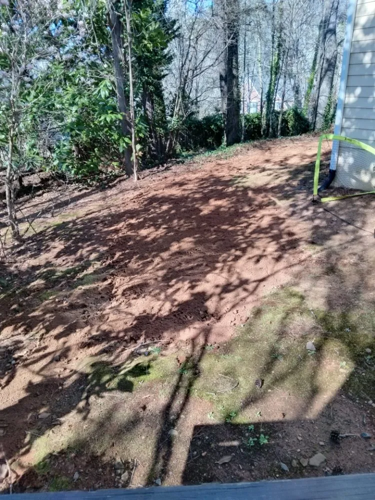 Custom yard cleanup service experts serving Stonecrest, GA - CJT Service