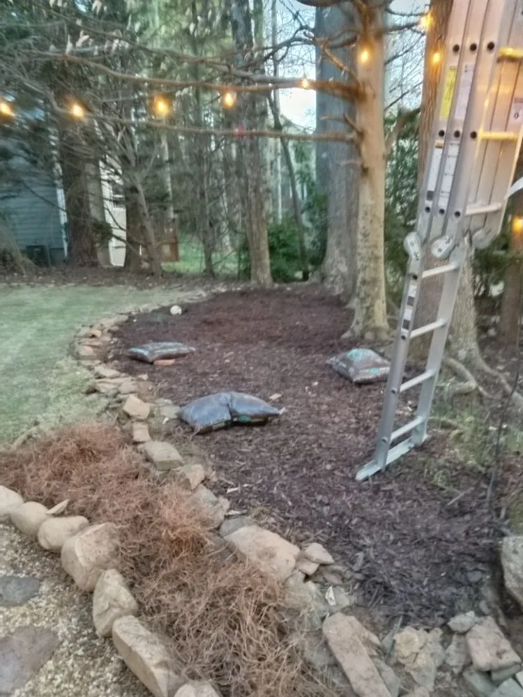 Reliable yard cleanup service in Stonecrest, GA - CJT Service