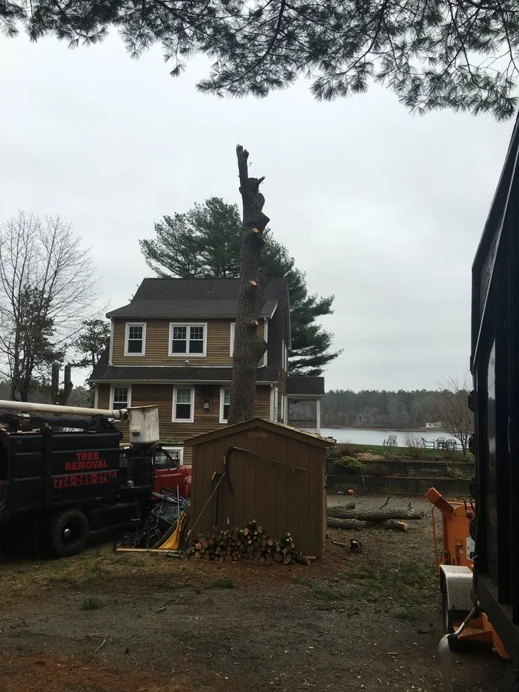 Reliable yard cleanup service in Carver, MA - CJV Landscaping & Tree Removal