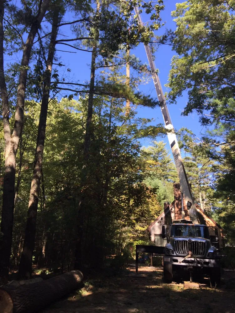 Top-rated outdoor landscaping experts serving Carver, MA - CJV Landscaping & Tree Removal