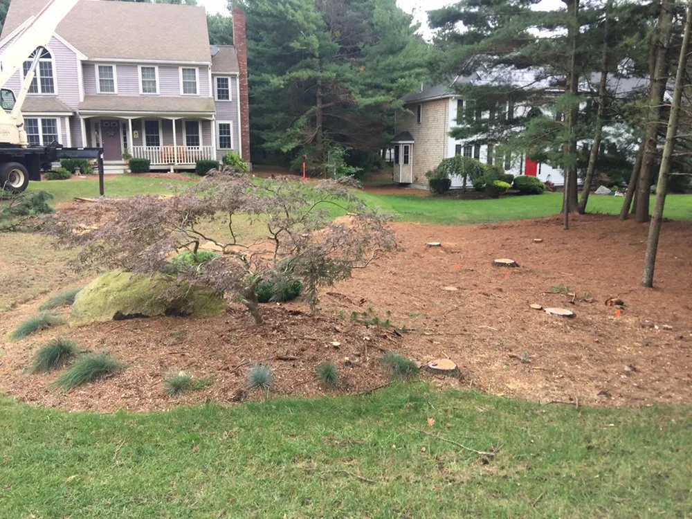 Affordable outdoor landscaping experts serving Carver, MA - CJV Landscaping & Tree Removal