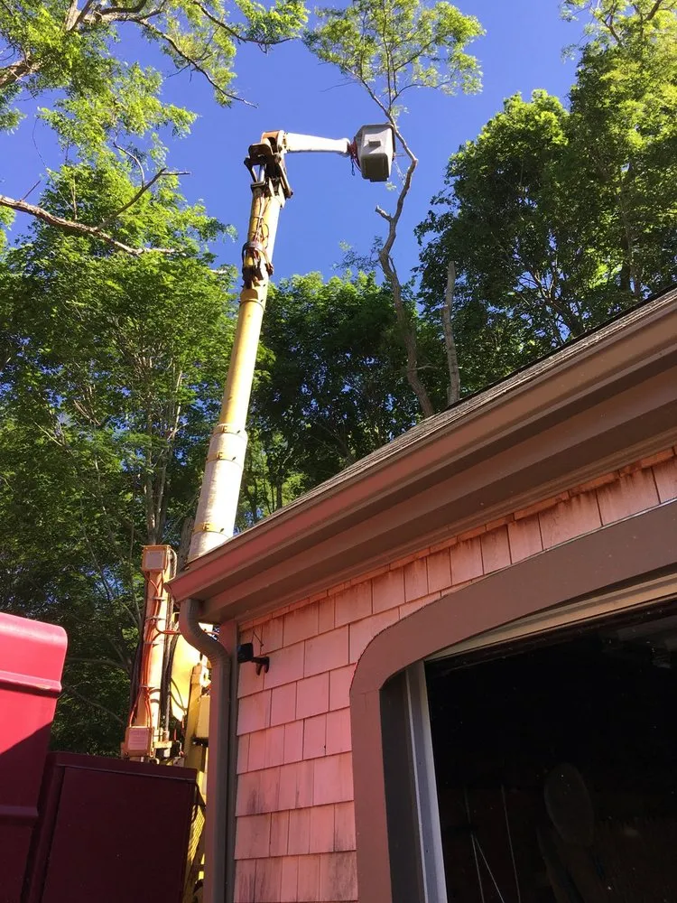 Affordable yard maintenance in Carver, MA by CJV Landscaping & Tree Removal